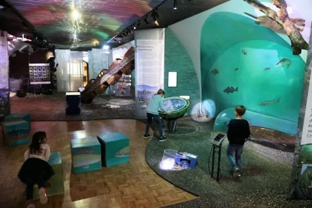 jagd- fischereimuseum_fische