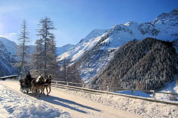 Pferdeschlitten Winter Berge Schlitten Pferde Berge