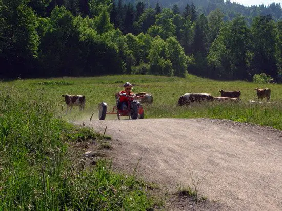 Lenggries Bullcarts Bullcarts Lenggries