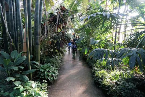 Botanischer Garten München Gewächshäuser Nymphenburg