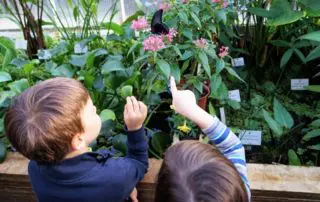 Kinder Botanischer Garten