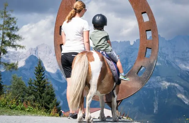 Pony-Alm_Going_quer_2 (002)