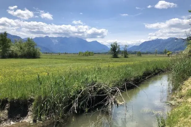 Murnau-moosrundweg-bergblick