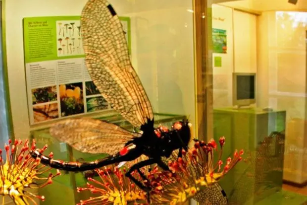 museum_salz_moorjpg