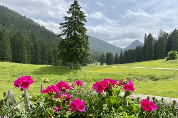 Schwarzentenn-alm-berge