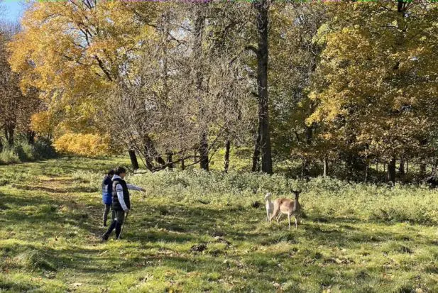 Wild-landsberg-kinder