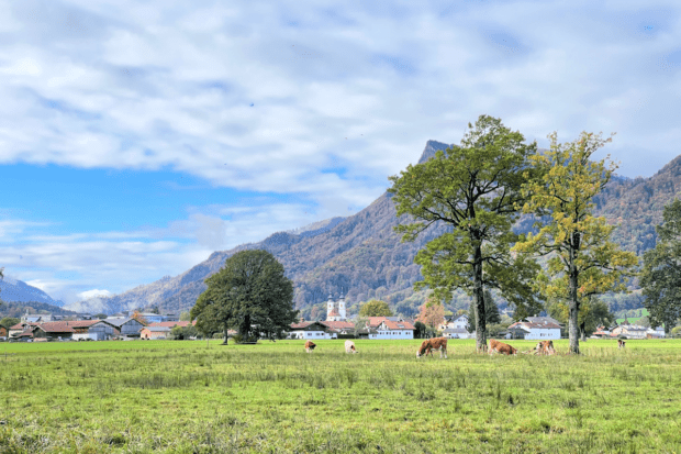 Baernsee_wanderung_aussicht_aschau