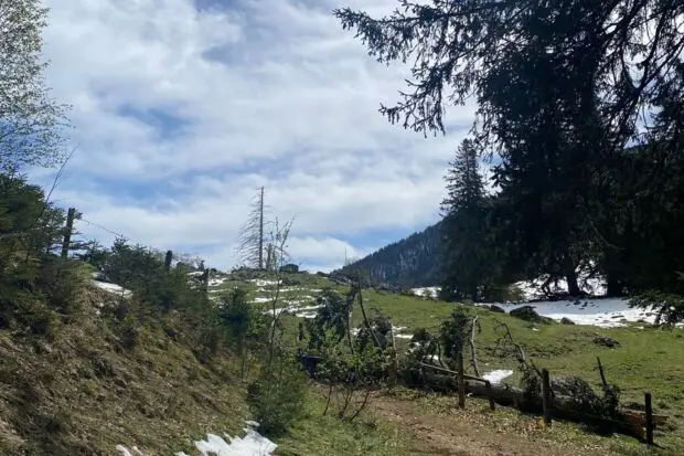 Sonnwendwand_schnee_familientour