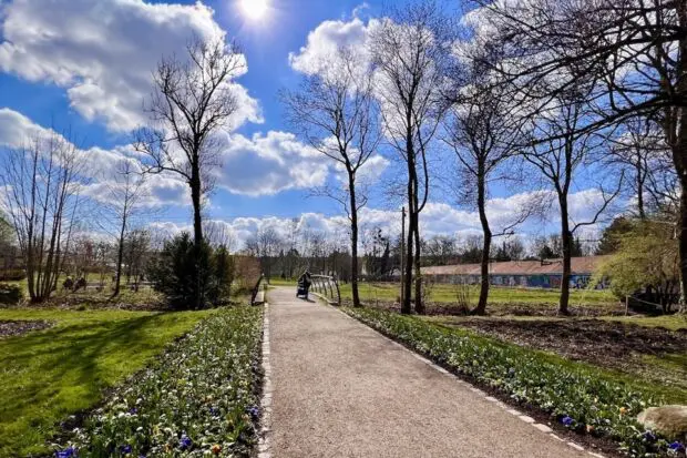 rosengarten_960 x 640