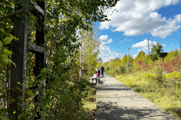 gleispark_gleise_baumkirchen_herbst