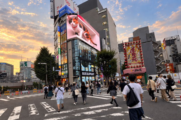 shinjuku_japan_kreuzung