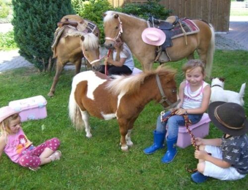 Ponyhof Pflaumdorf – Landsberg am Lech
