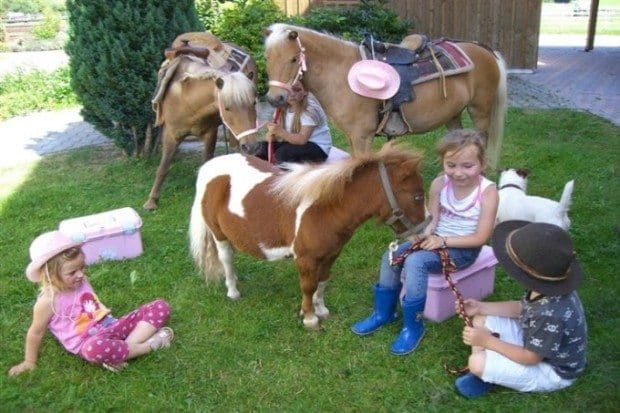 Ponyhof Pflaumdorf Landsberg