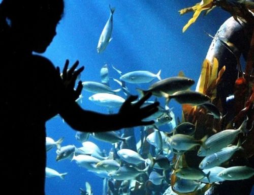 Sea Life – Olympiapark