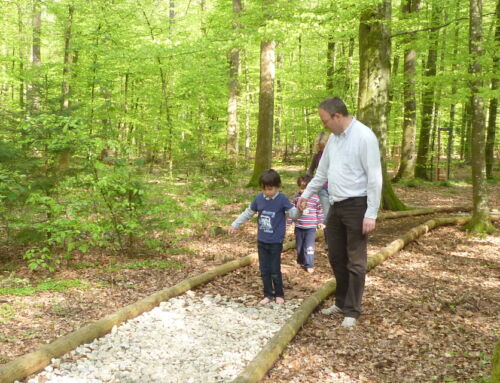 Walderlebniszentrum Grünwald