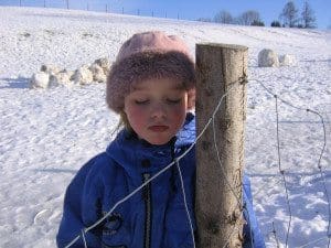 Elterncoaching Selbsregulation Elterncoaching Selbsregulation