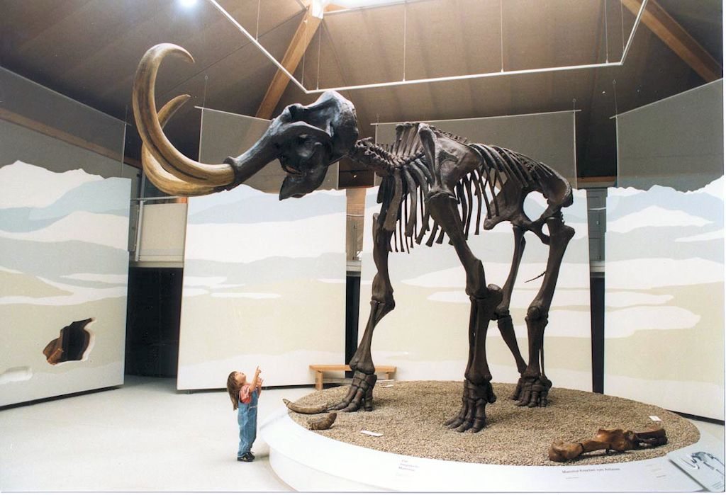 Naturkunde- und Mammut-Museum – Siegsdorf