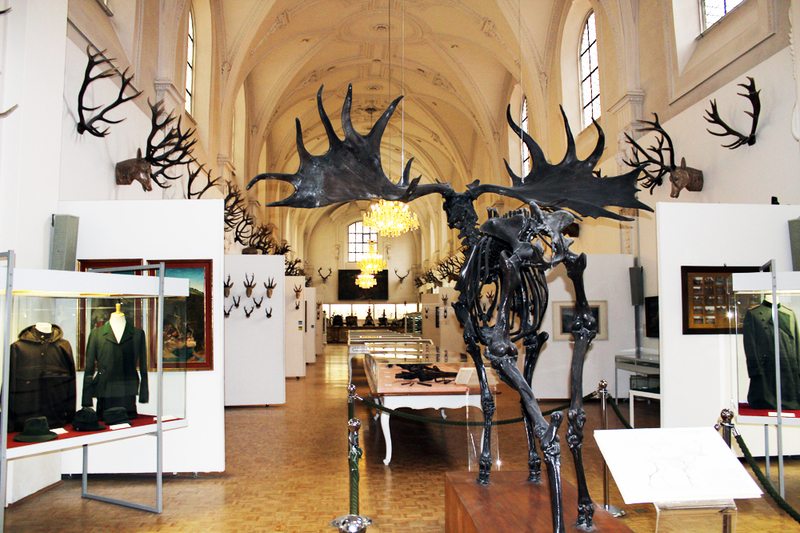 Jagd und Fischereimuseum München