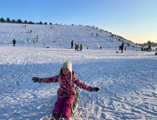Rodeln in der BUGA – Riemer Park
