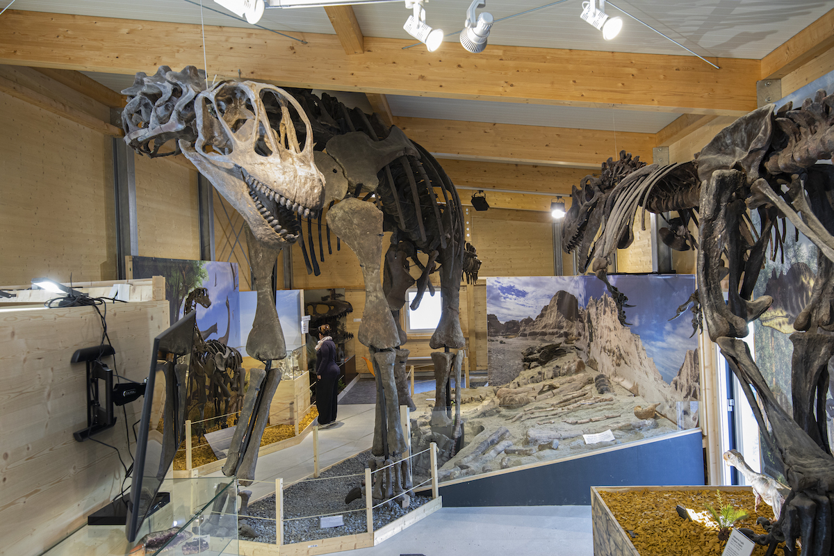 Urzeitmuseum – Sammlung Kapustin