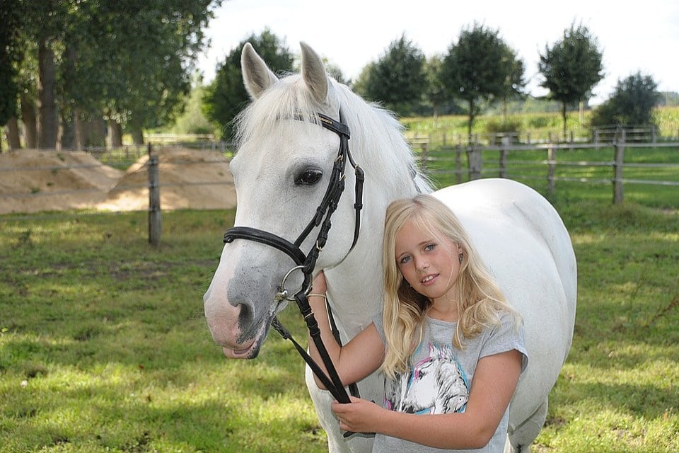 Susannes Ponyranch Ottenhofen