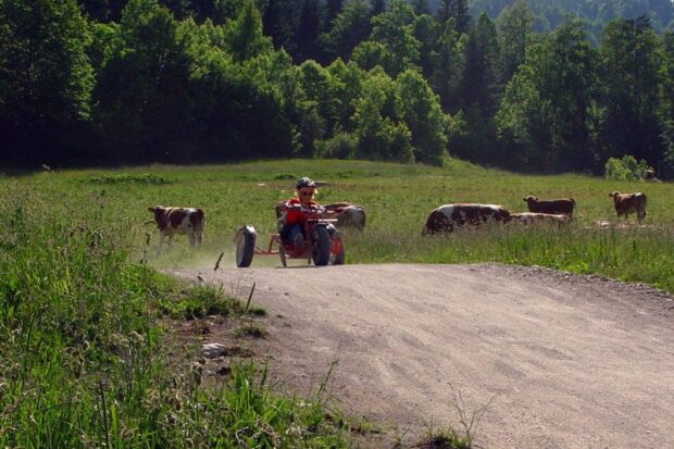 Bullcarts Lenggries