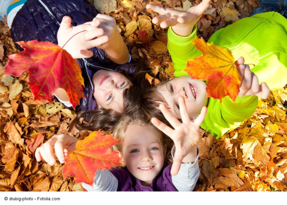 Fotolia Kinder im Laub