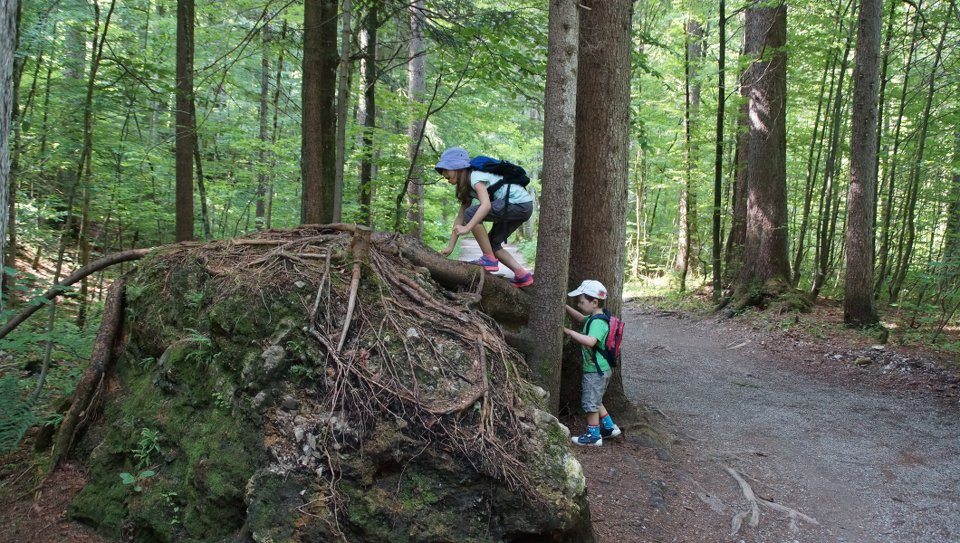 Siebenhütten Wurzelklettern_7 Siebenhütten Wurzelklettern_7