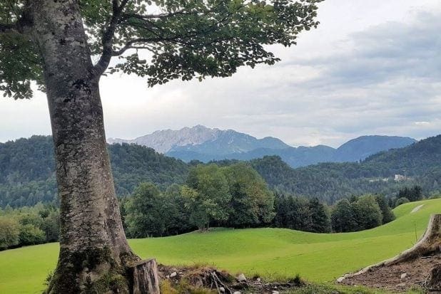 giessenbachklamm-aussicht-wanderung