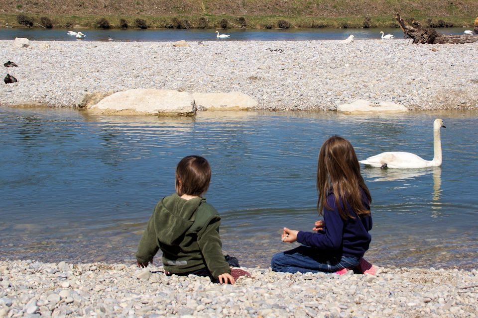 Isar Kinder mit Schwan