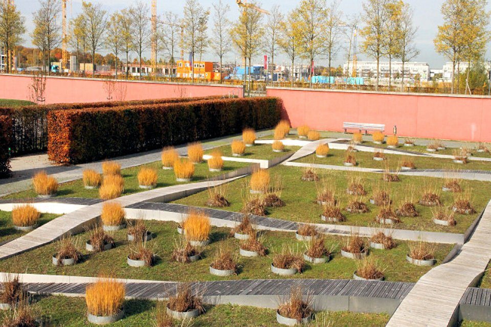 Buga Gräser Buga Gräser