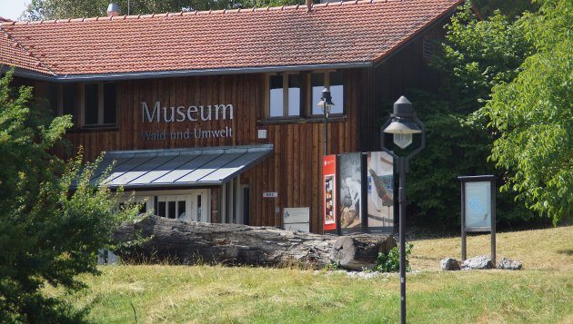 Museum wald und umwelt ansicht