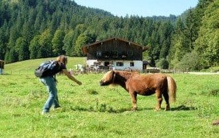Röthelmoosalm Familienwanderung