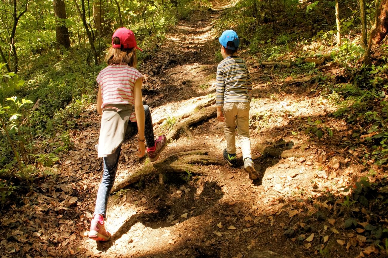 Ratzinger Höhe Waldweg-18