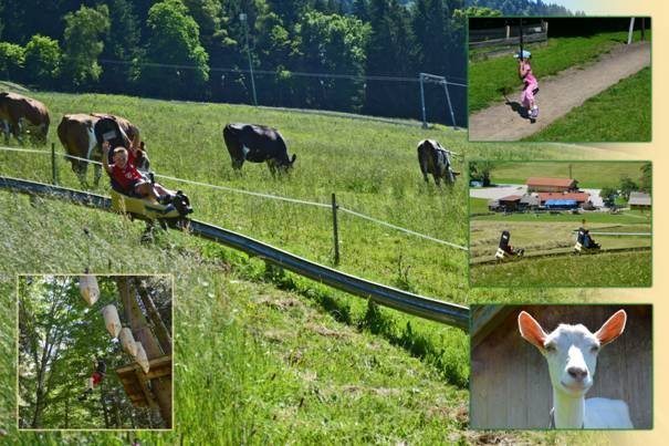Oedberg Ostin Tegernsee Sommerrodelbahn Tegernsee Ostin