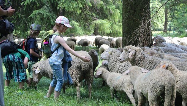 Mädchen mit Schafen im Englischen Garten