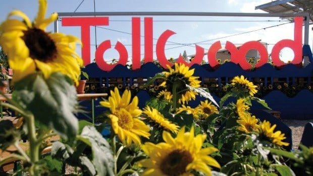 Tollwood