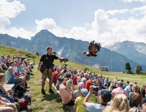 Ahorn Mayrhofen – Zillertal / Tirol