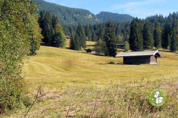 Hafner Alm Lukas Alm beim Tegernsee