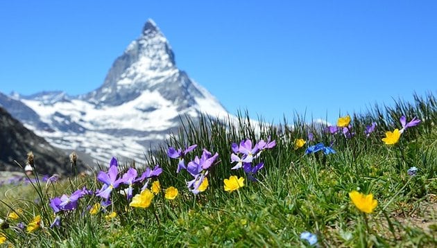 matterhorn schweiz