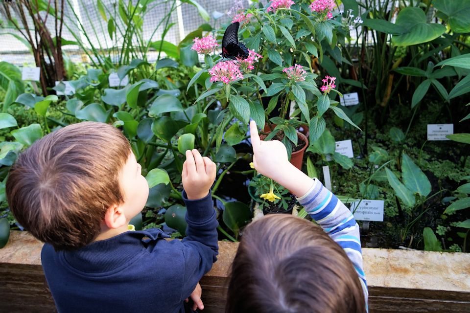 Kinder Botanischer Garten