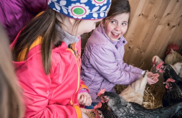 Kind mit Huhn auf dem Bauernhof