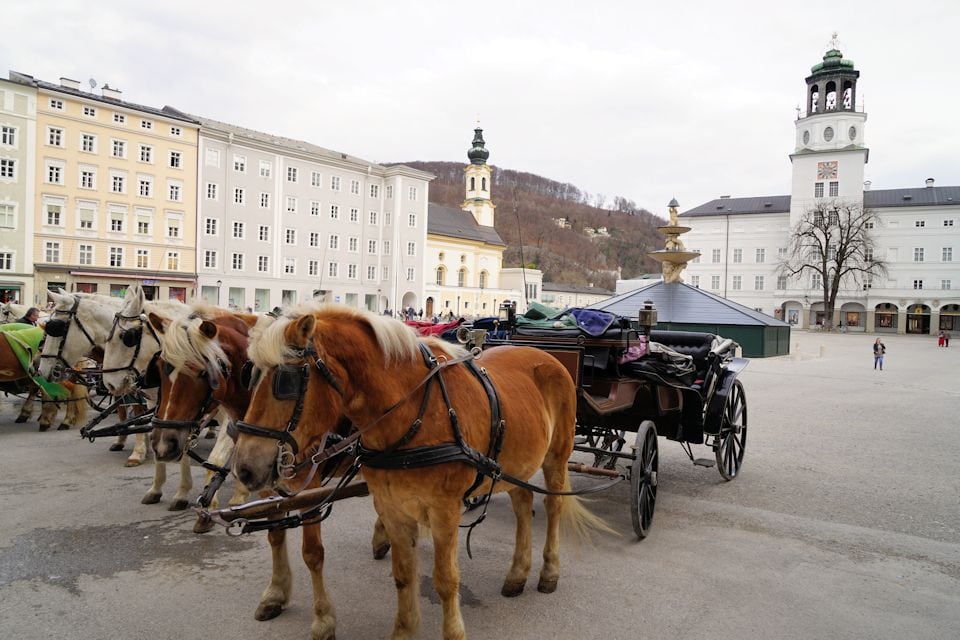 Fiaker Pferdekutsche