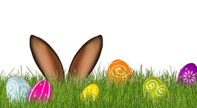 Osterhase in einer Wiese