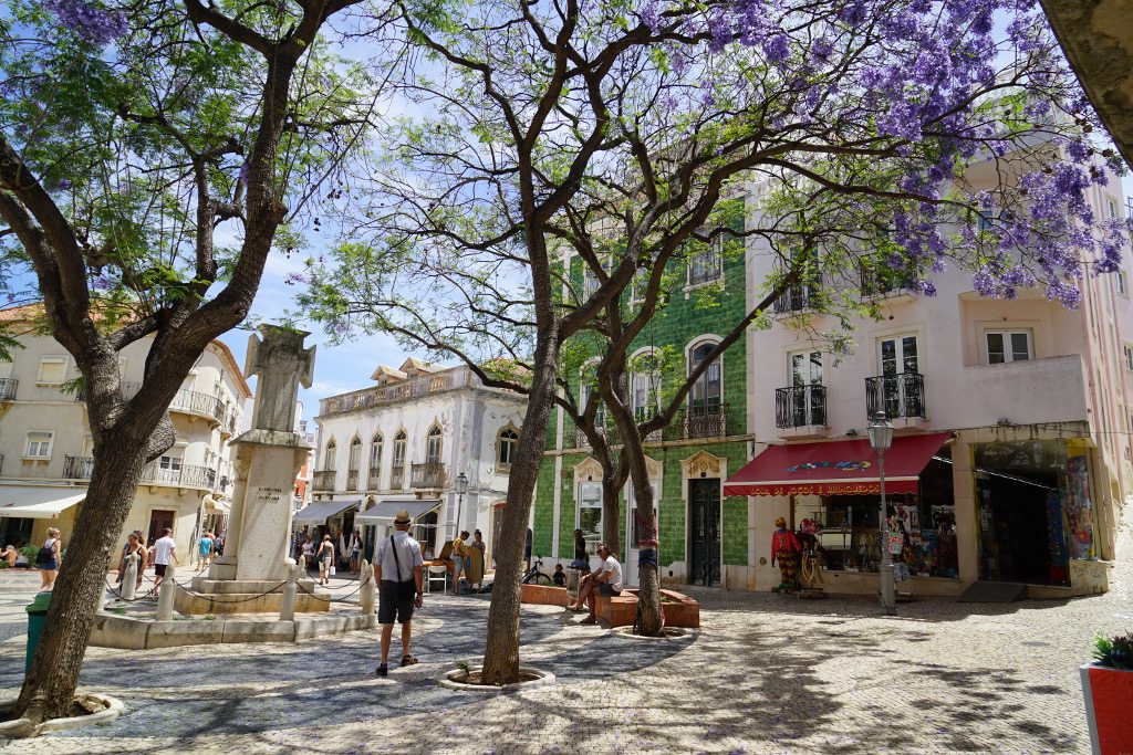 Lagos Algarve Portugal Platz in Lagos mit Bäumen