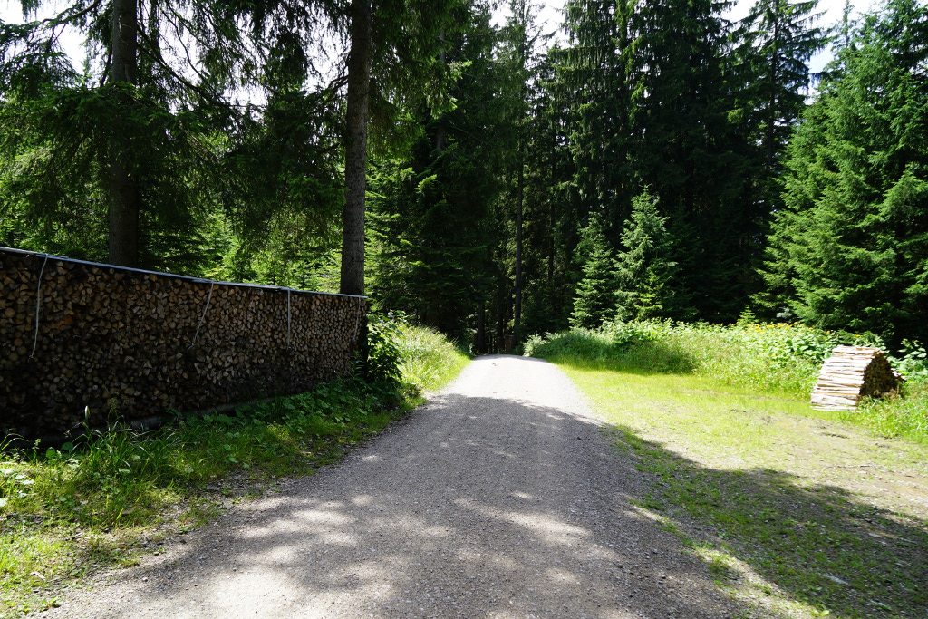 Forstweg Neureuther Hütte