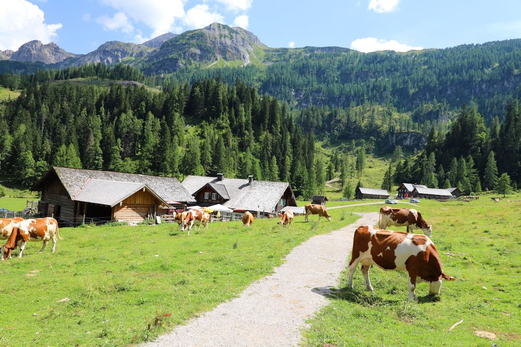 almenweg-rundweg-almen-obertauern