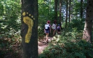 Kinder Barfuss im Wald