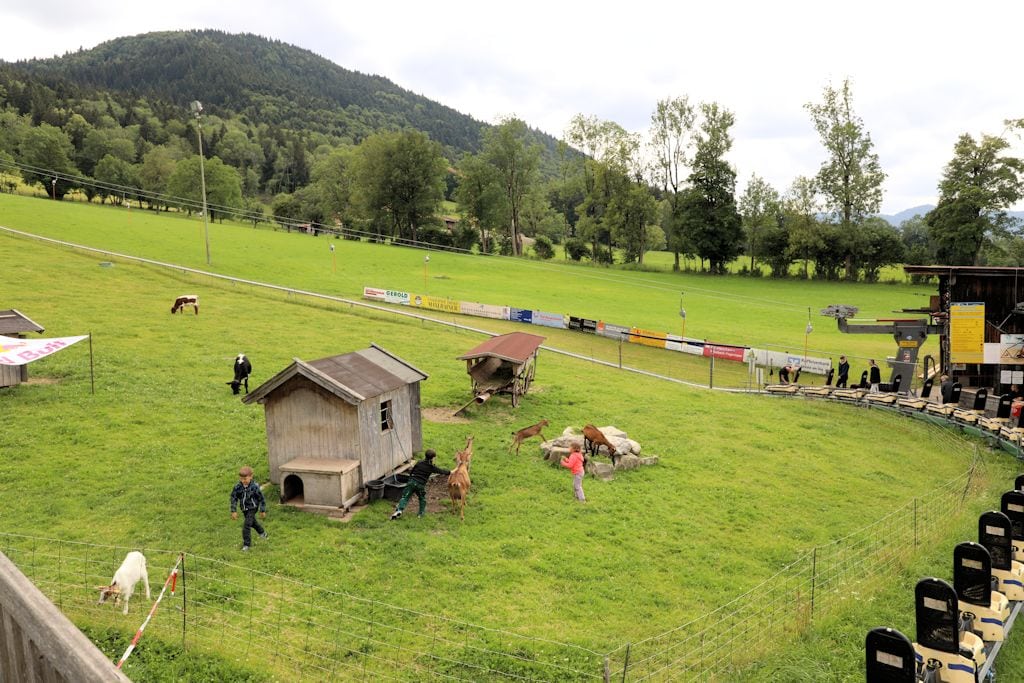 oedberg-streichelzoo-tegernsee