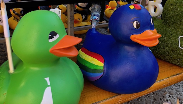 entenrennen enten